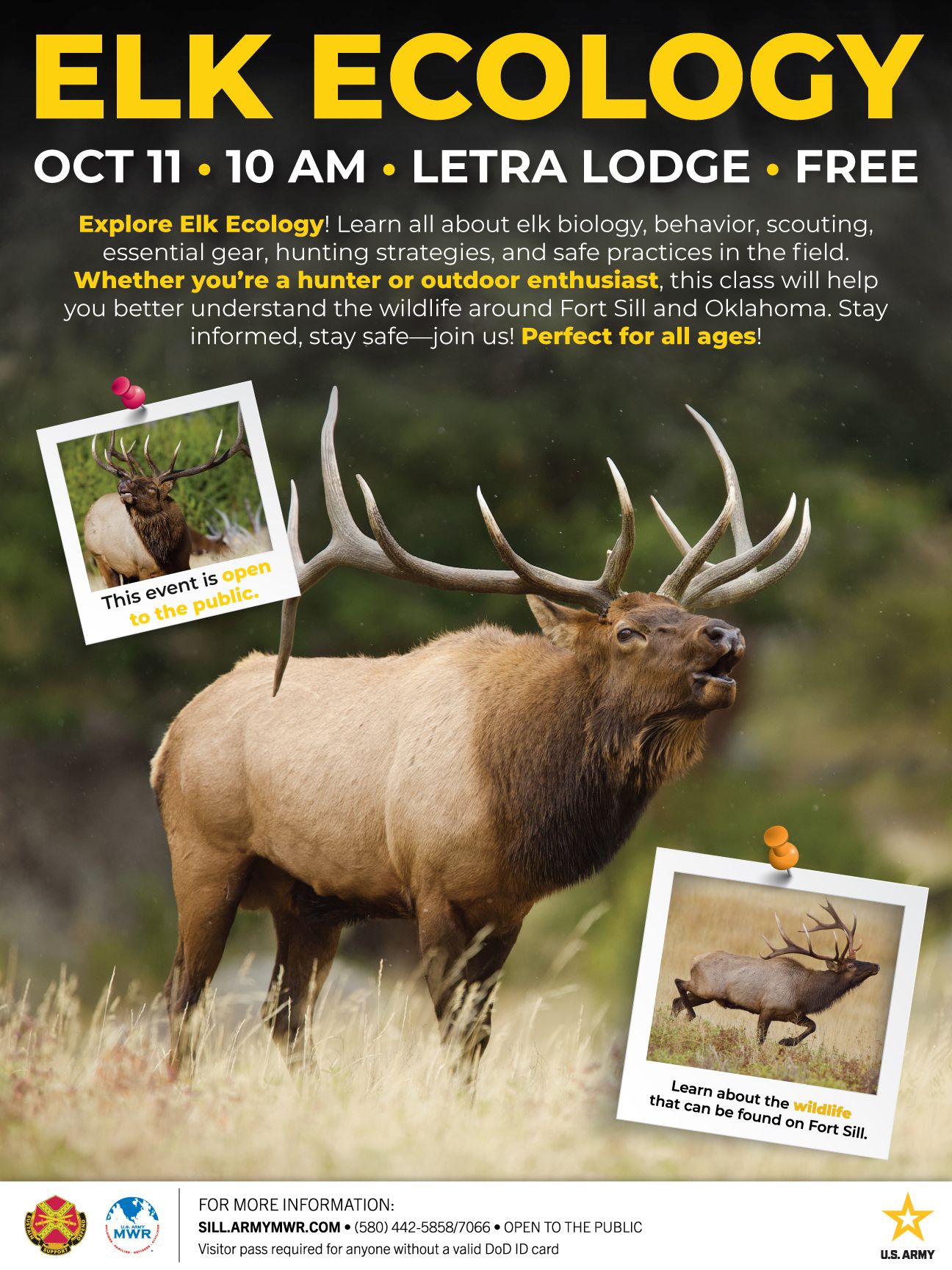 SILL-ElkEcology2025Flyer.jpg